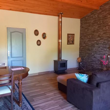 Ferienwohnung O Ninho Do Rei Vila de Rei Exterior foto