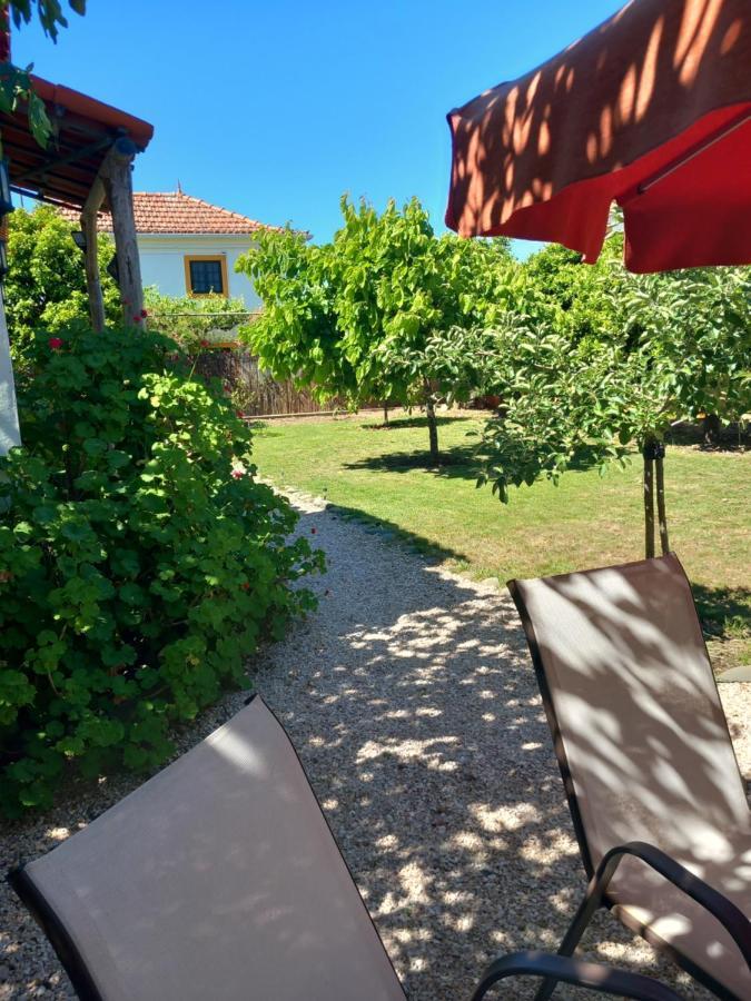 Ferienwohnung O Ninho Do Rei Vila de Rei Exterior foto