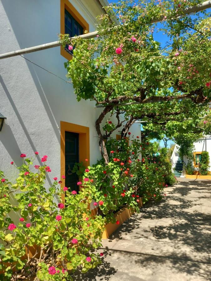 Ferienwohnung O Ninho Do Rei Vila de Rei Exterior foto